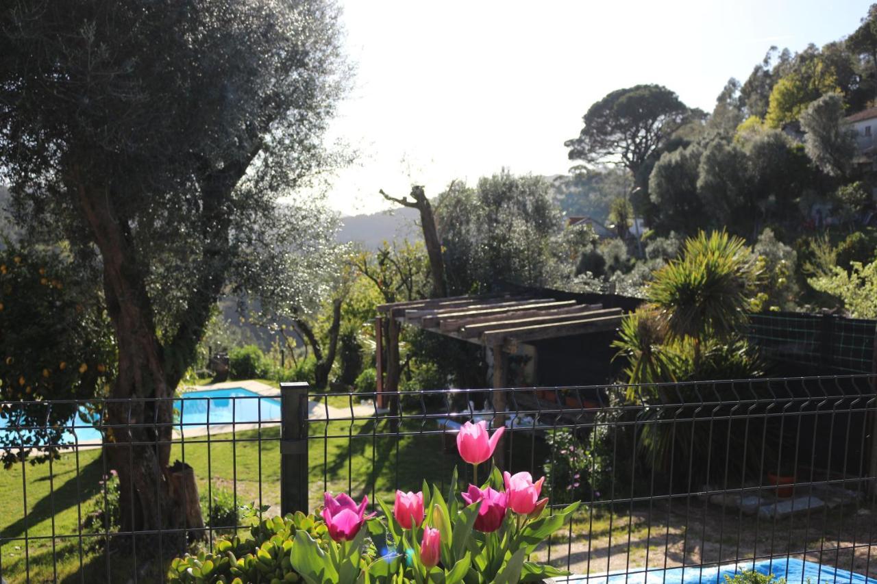 De Campos - Geres Appartement